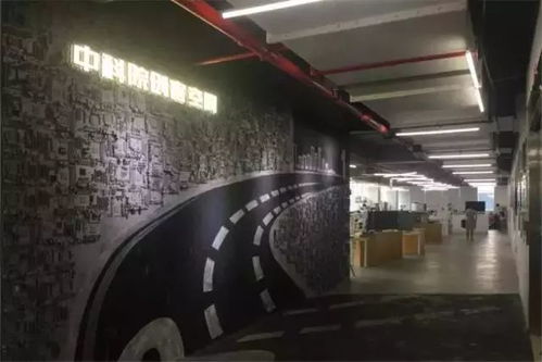突破社交圈層，創(chuàng)業(yè)空間服務助力海歸美女主理的寵物事業(yè)新征程